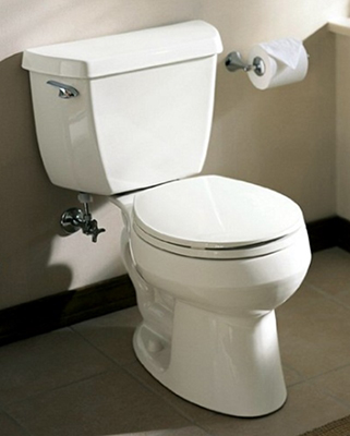 toilet1